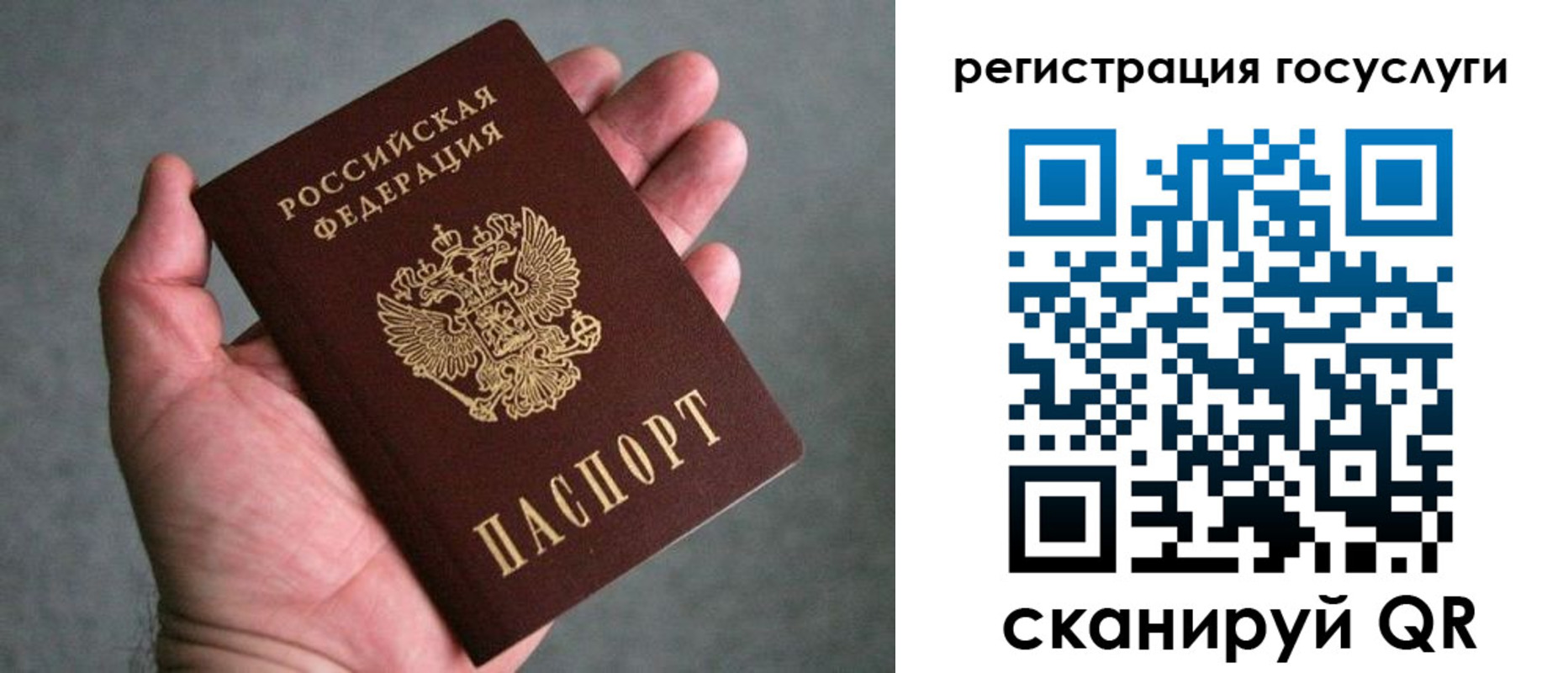 прописка поиск в Читинской области